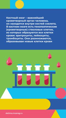 как_стать_донором_костного_мозга__вертикаль_03.jpg