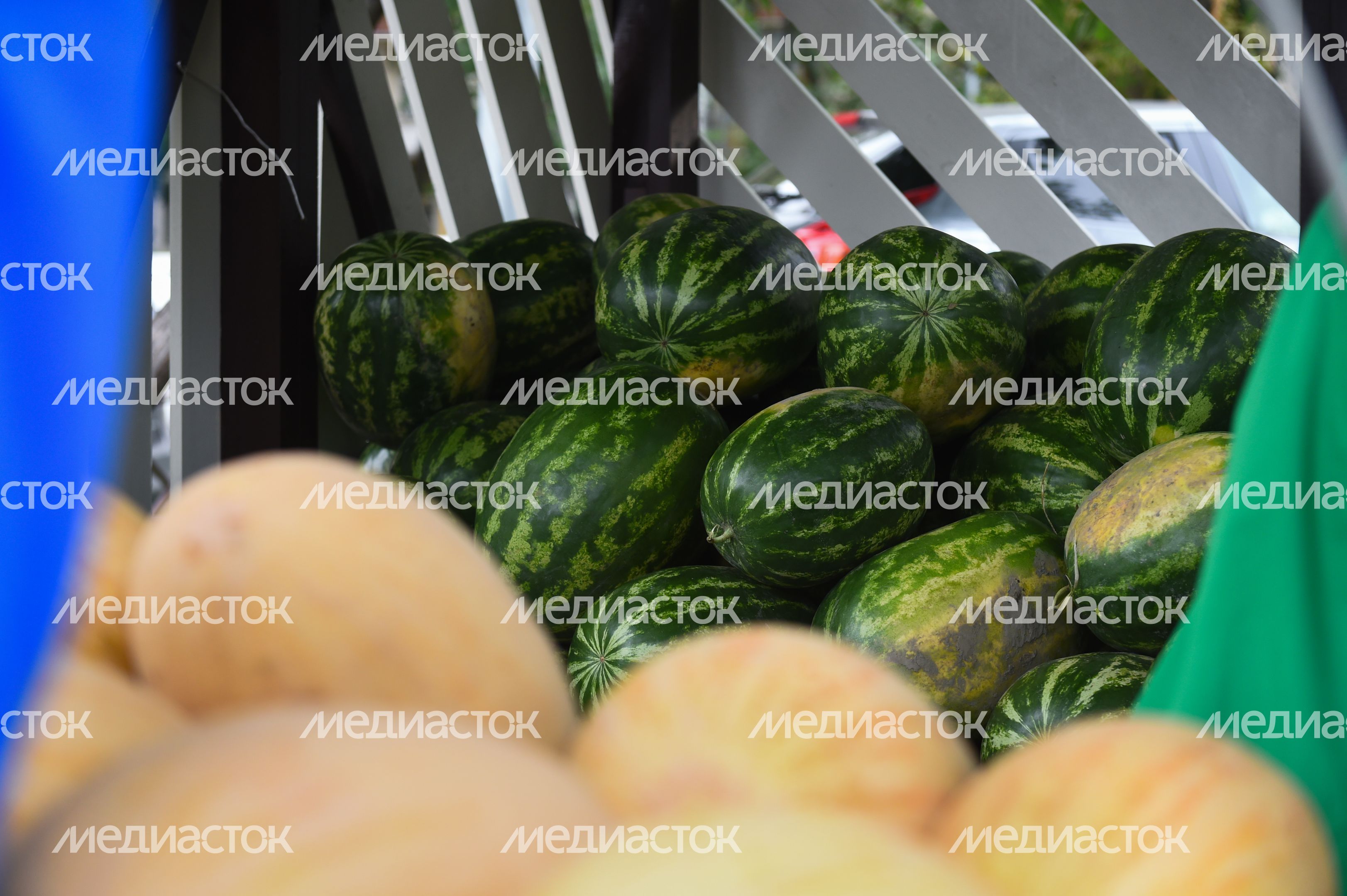 Открытие сезона бахчевых 2019 в Москве