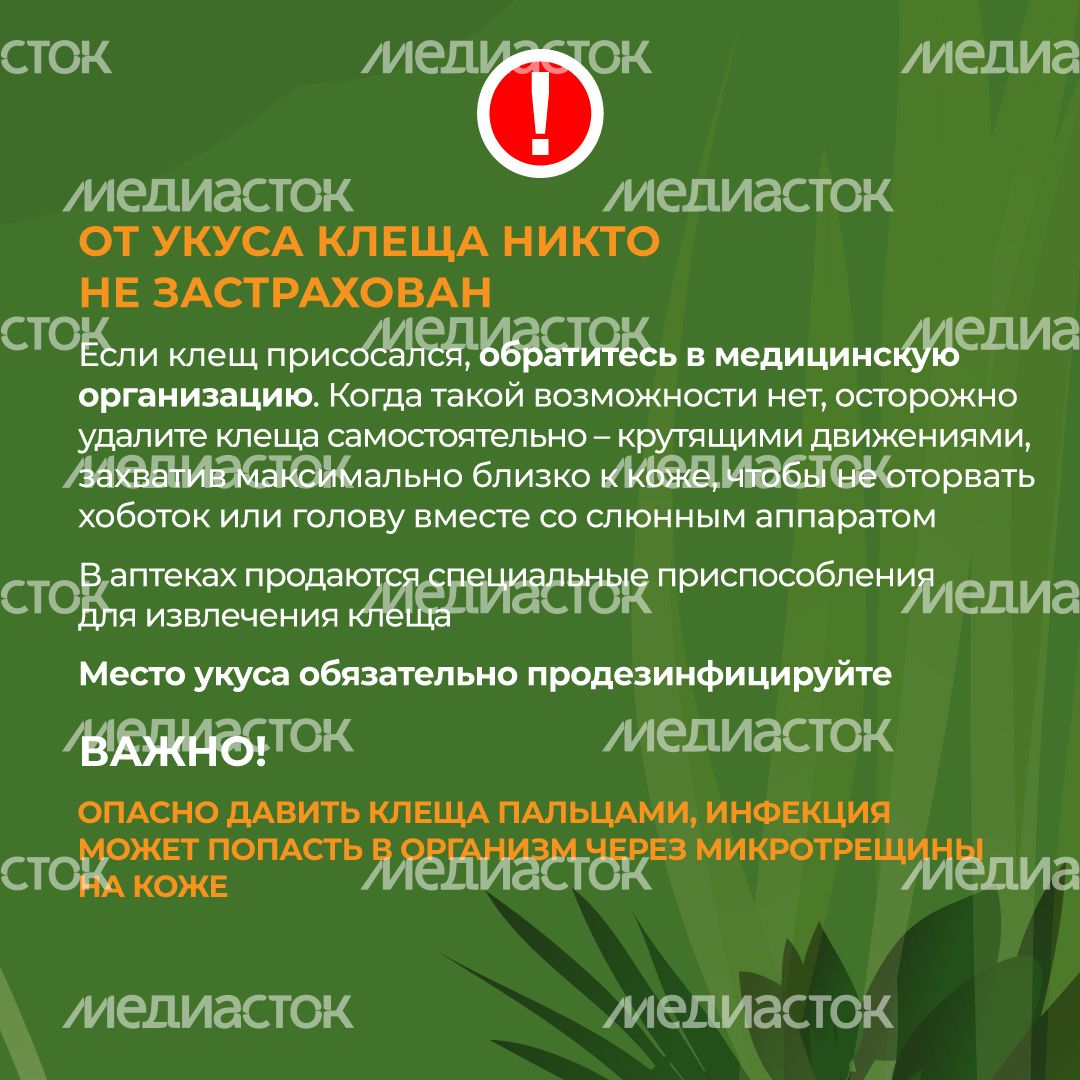 комлесхоз_клещи_кв_7