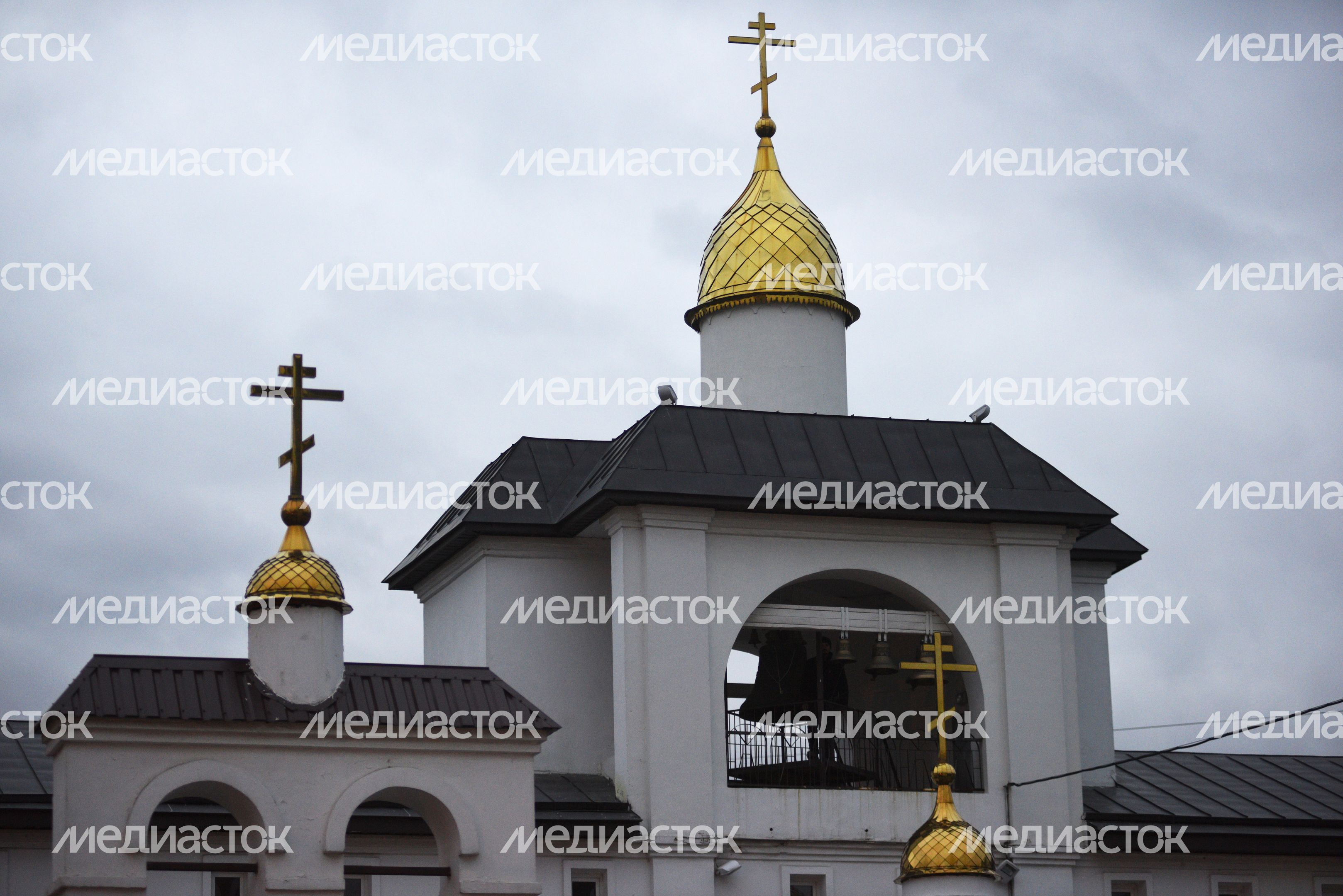 Храм Александра Невского в Балашихе