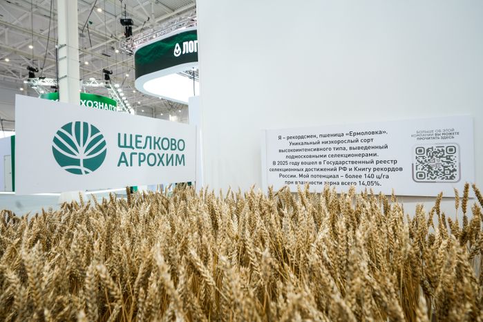 Стенд Подмосковья на выставке "Золотая осень - 2025"