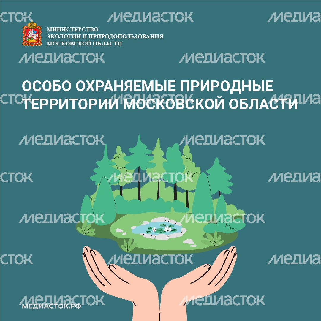 Особо охраняемые природные территории квадрат 01