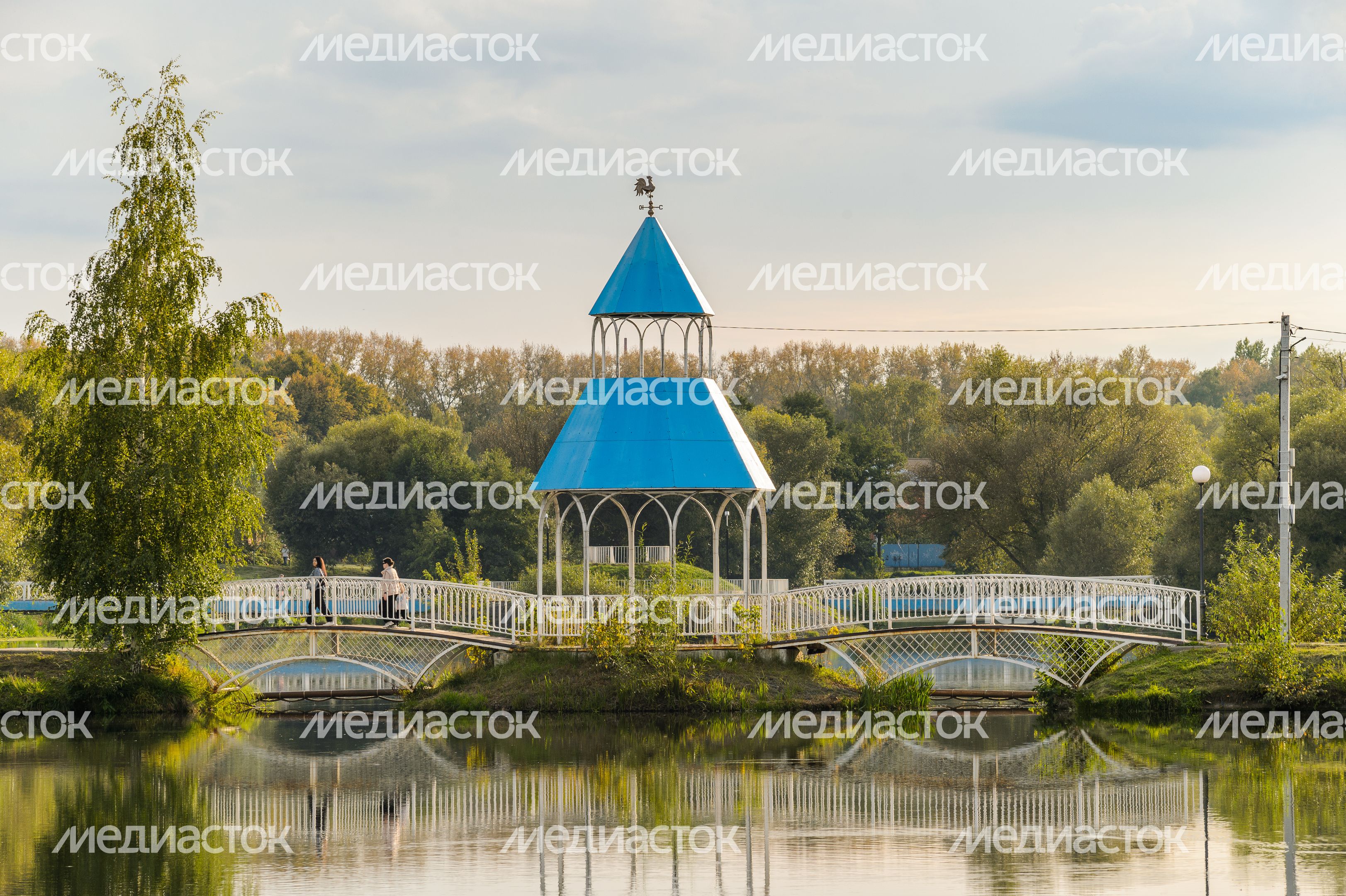 Бронницы. Кожурновский пруд Бронницы. Кожурновский пруд