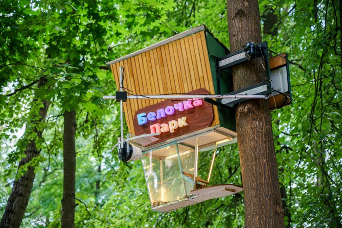 Раменский городской парк культуры и отдыха летом