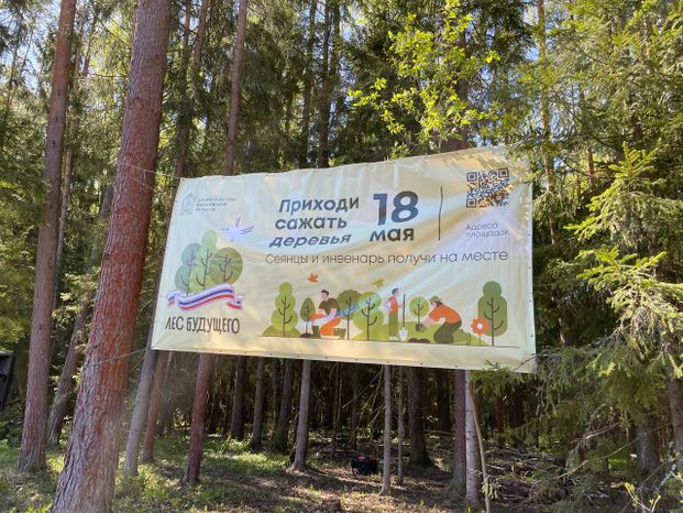 Настроение "Лес Будущего"-2024