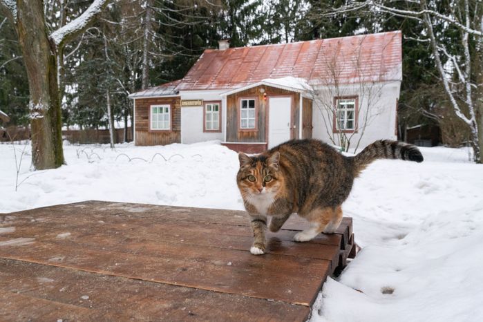 Мелихово
