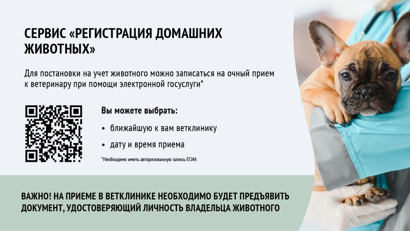 Зарегистрировать домашнее животное ред 2-горизонталь-06.png
