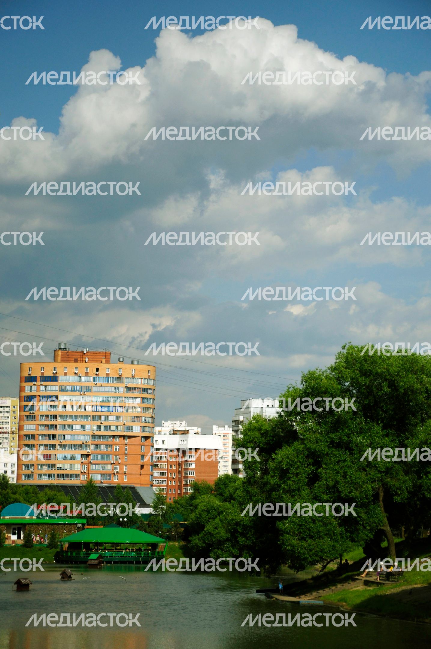 Барашкинский пруд в Химках Барашкинский пруд в Химках