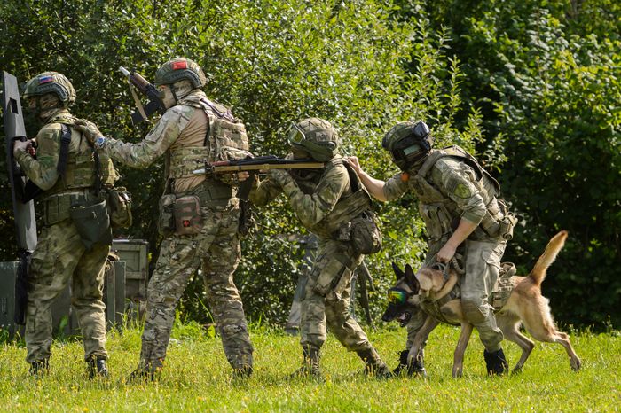 Мытищи. Шолохово. Военно-патриотический фестиваль Фронтовая собака