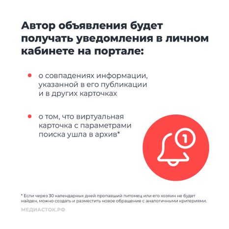 Домашние животные квадрат 09
