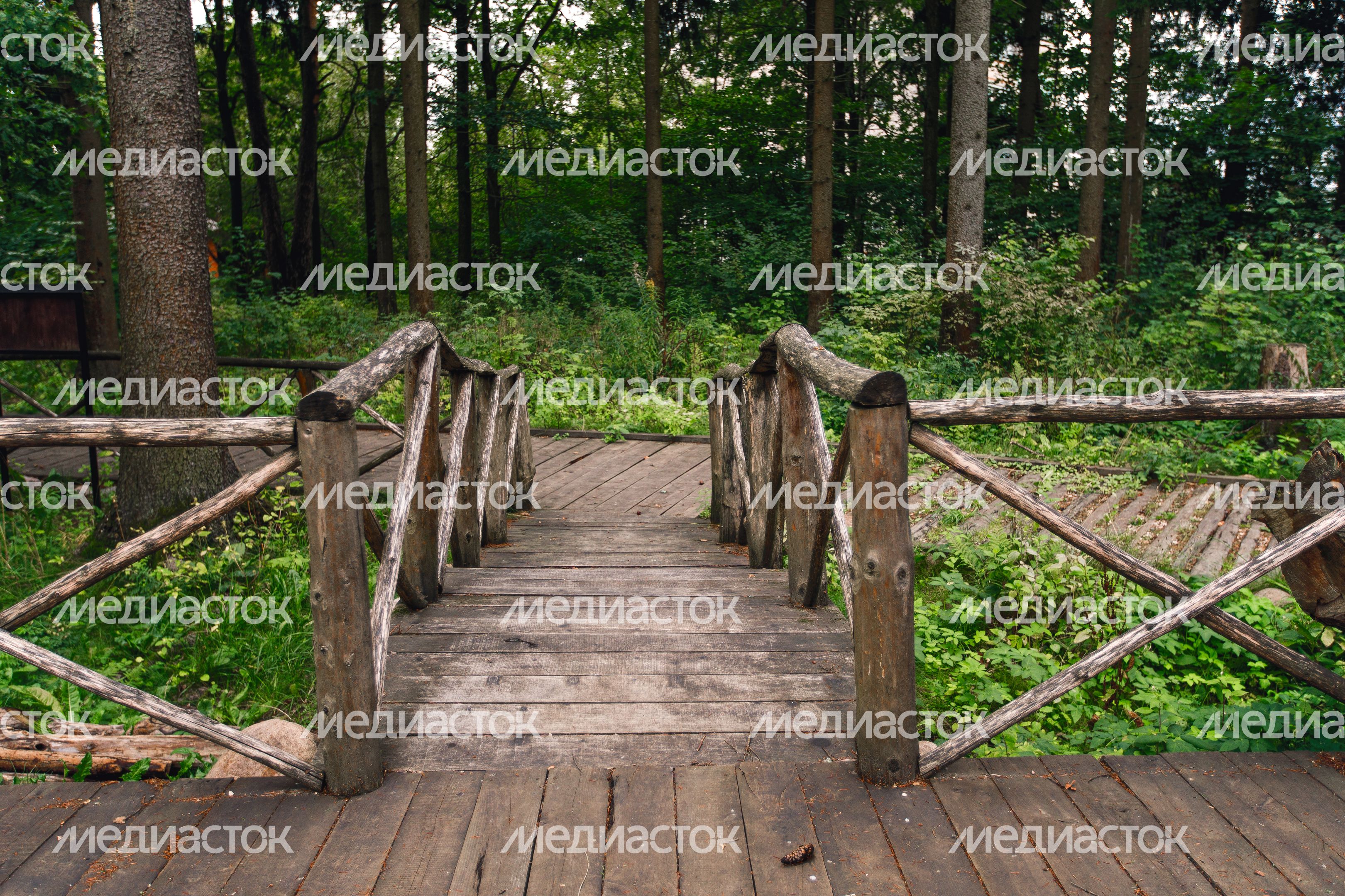 Сергиев Посад. Парк «Дубрава»