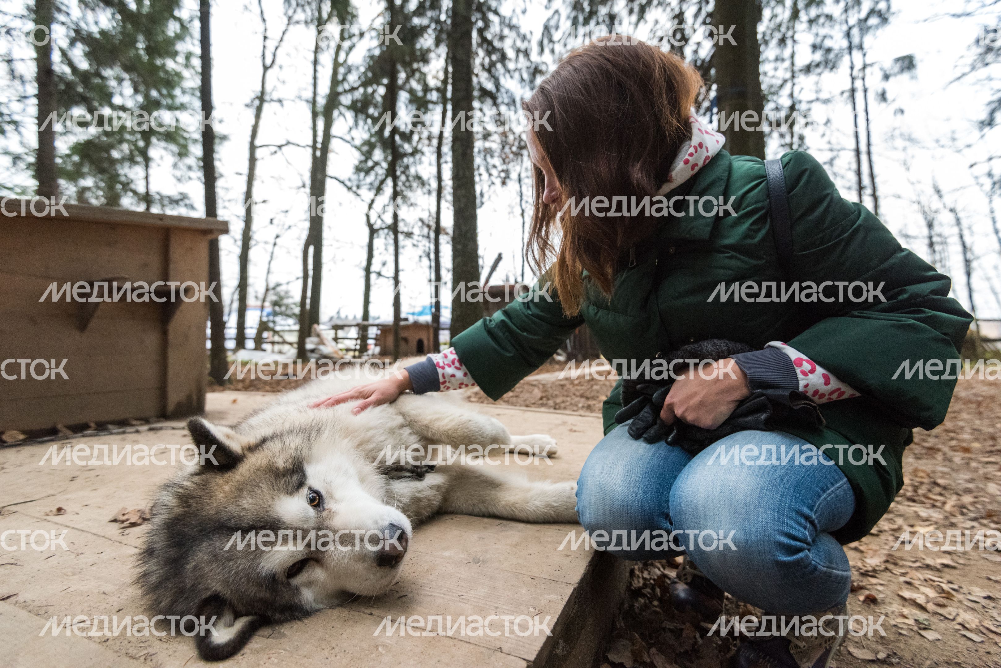 Этнопарк «Кочевник»