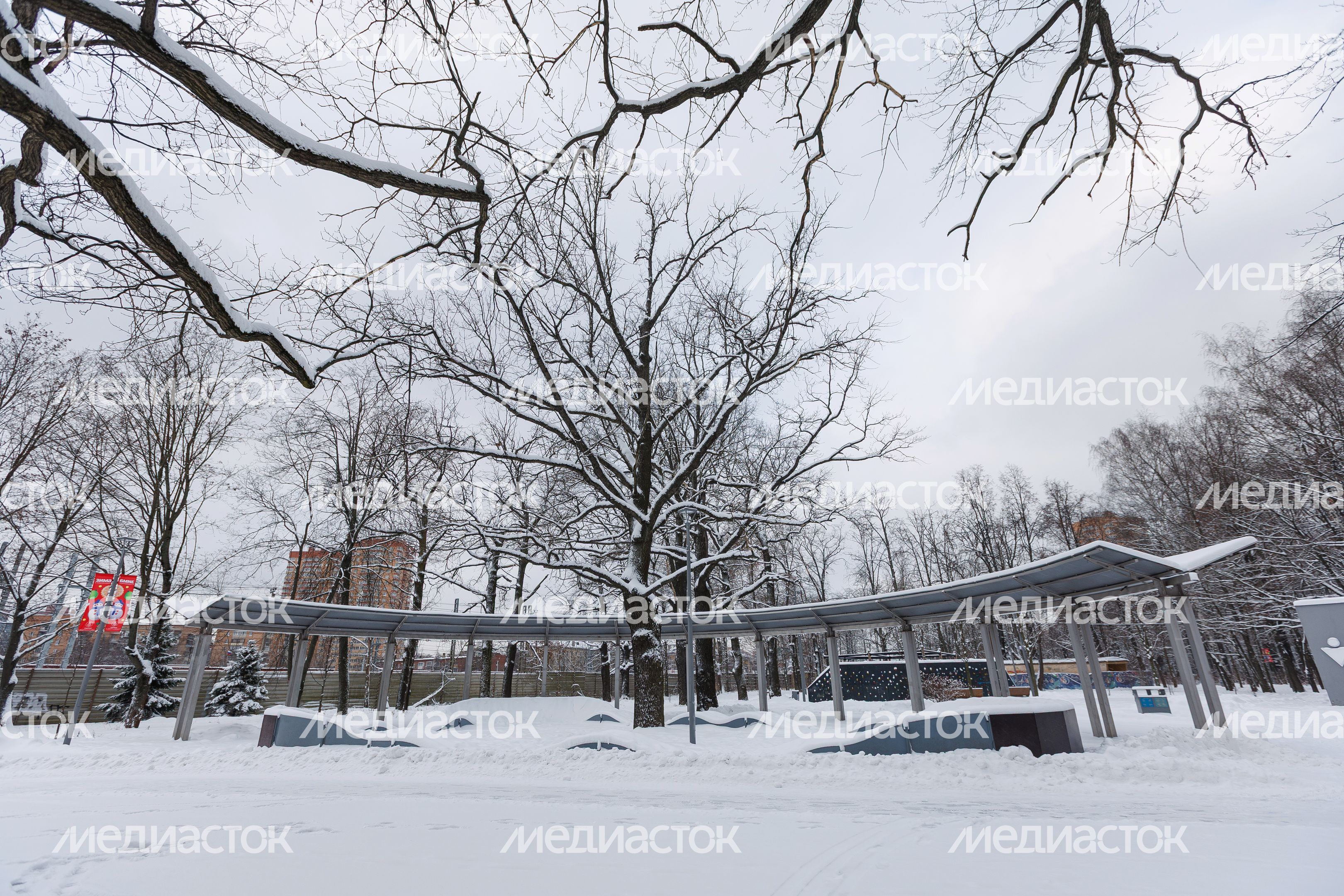 Скейтплощадка в парке культуры и отдыха имени Л.Н. Толстого в Химках Скейтплощадка в парке культуры и отдыха имени Л.Н. Толстого в Химках