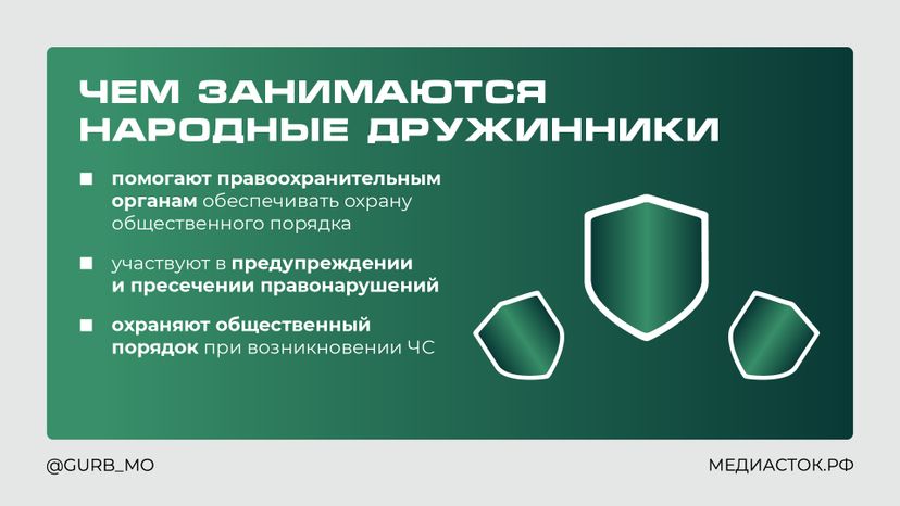 Как стать народным дружинником горизонталь 03