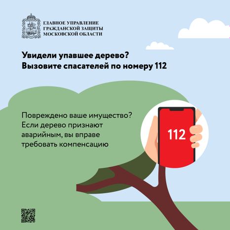 Аварийные деревья_Квадрат-06.jpg