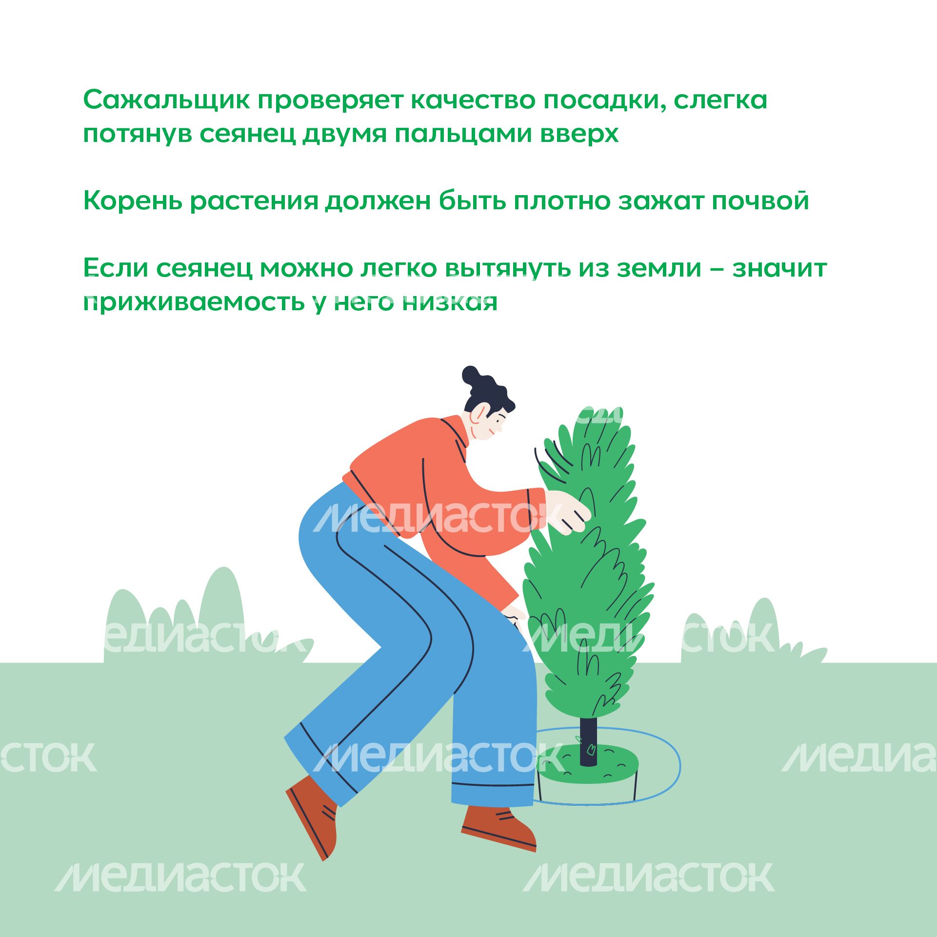 Квадрат_ меч Колесова_06-100.jpg