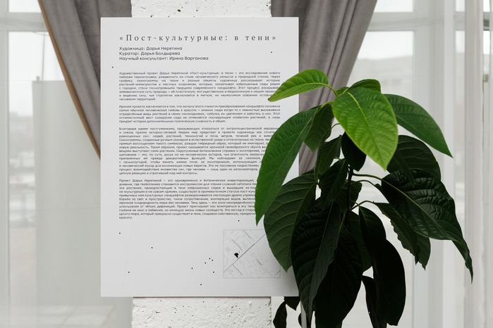 Художественный проект «Пост-культурные: в тени» Дарьи Неретиной на выставке «Резонанс» в Черноголовке