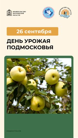 26 сентября вертикаль 02