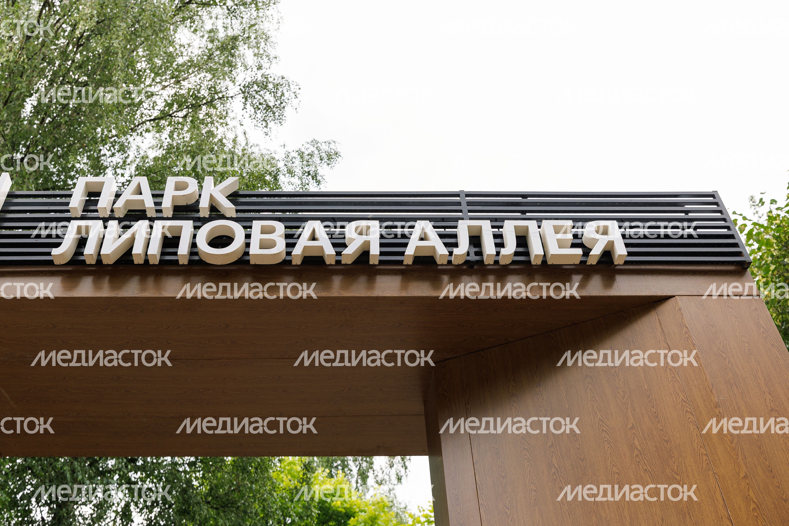 Парк "Липовая аллея" в Электроуглях