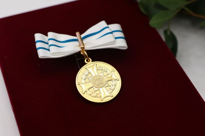 Медаль ордена "Родительская слава"