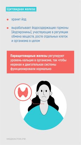 Эндокринные заболевания у наркозависимых вертикаль 05