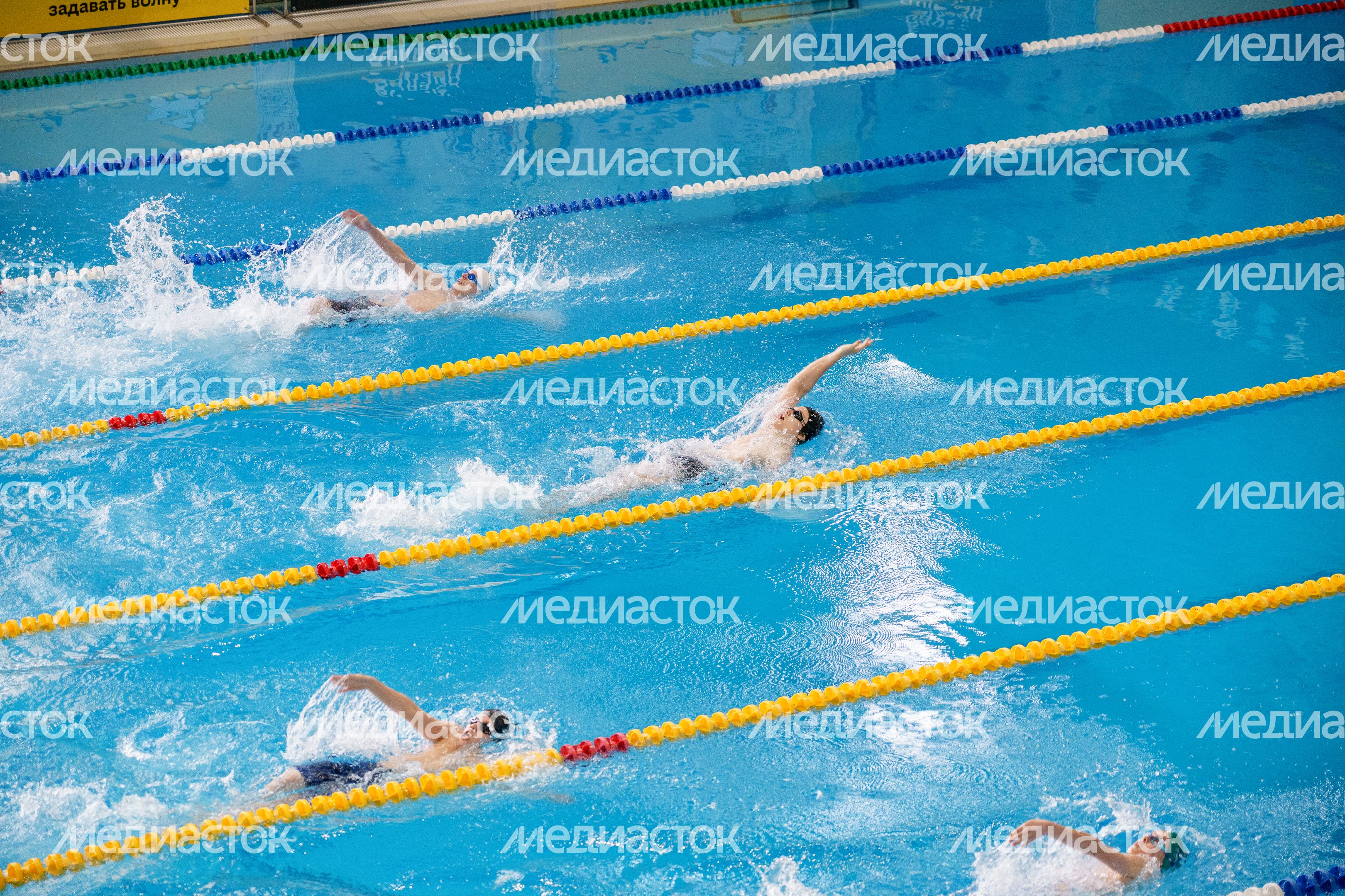 Финальный весенний турнир по плаванию международной серии Swimcup в Раменском