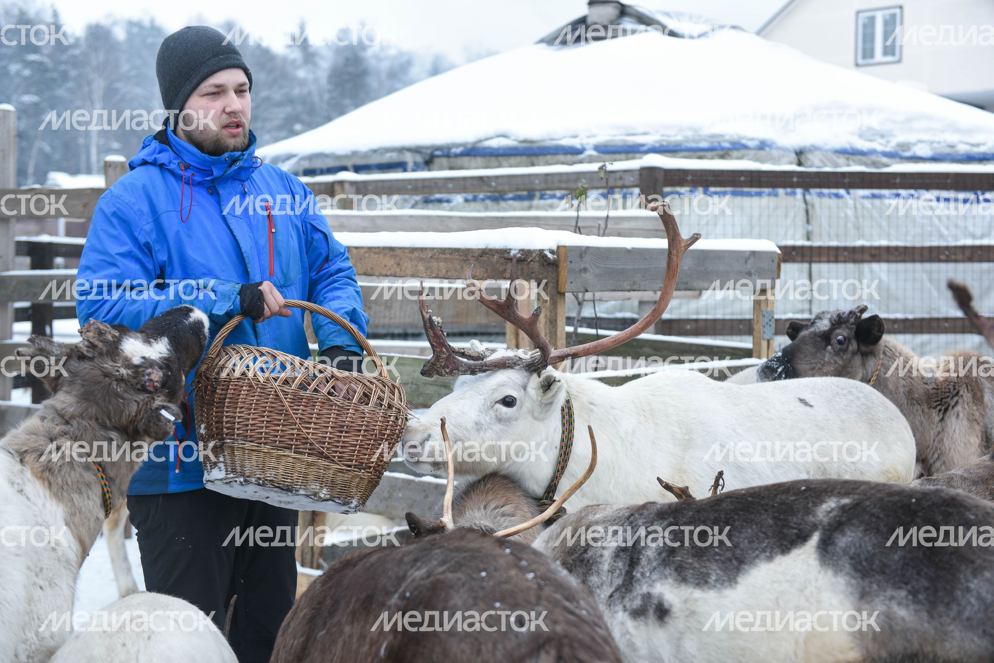 Оленья ферма в Дзержинском