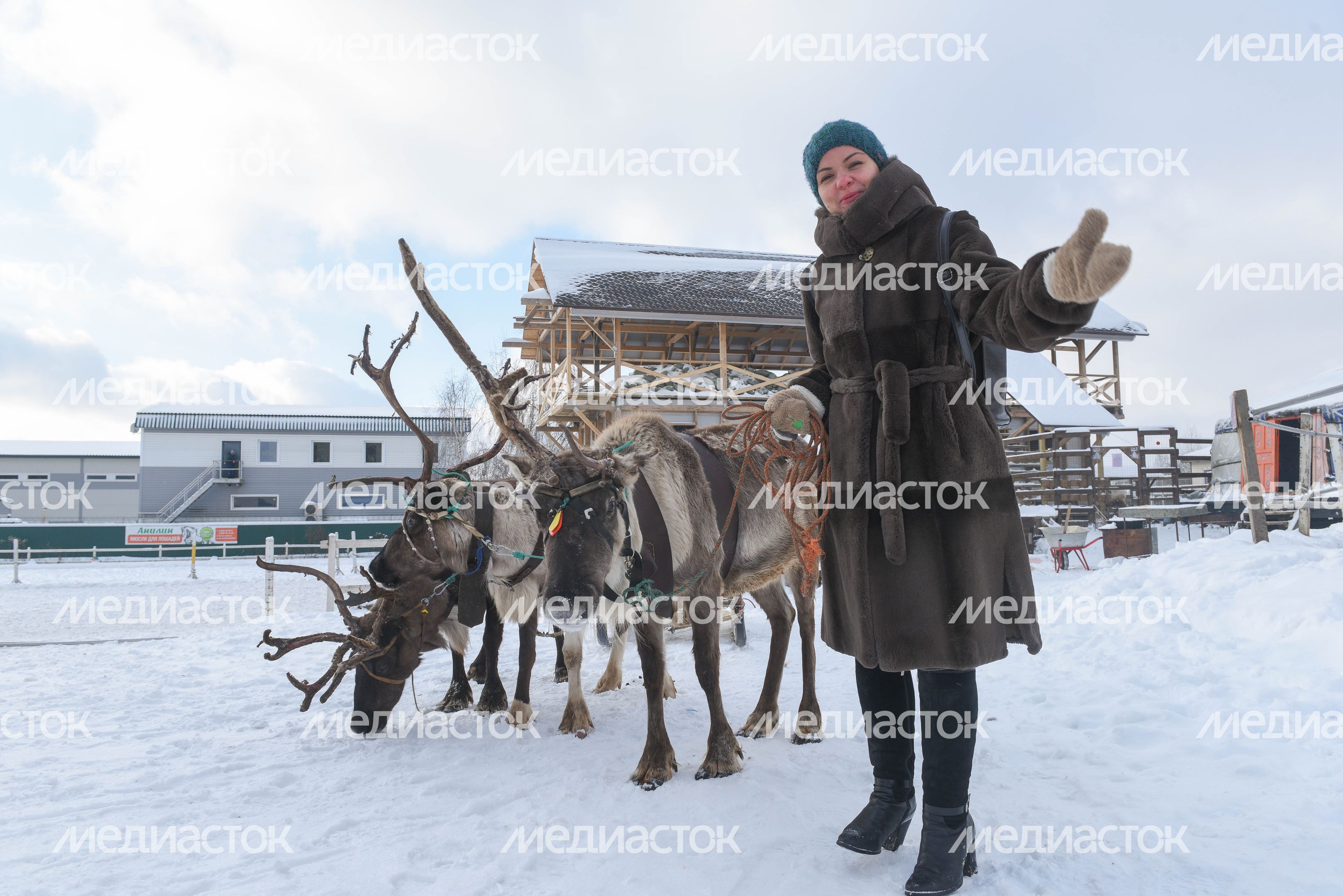 Оленья ферма в Дзержинском