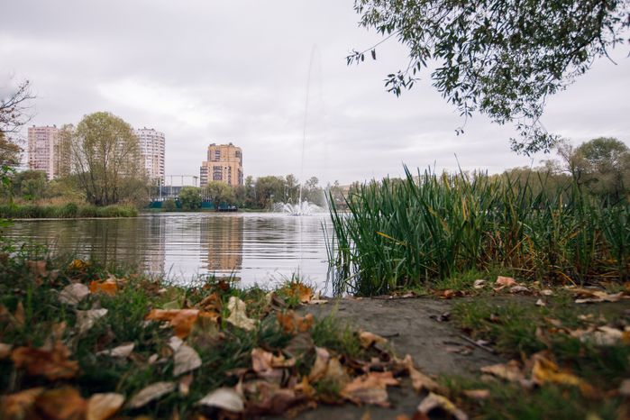 Реутов. Парк «Фабричный пруд»