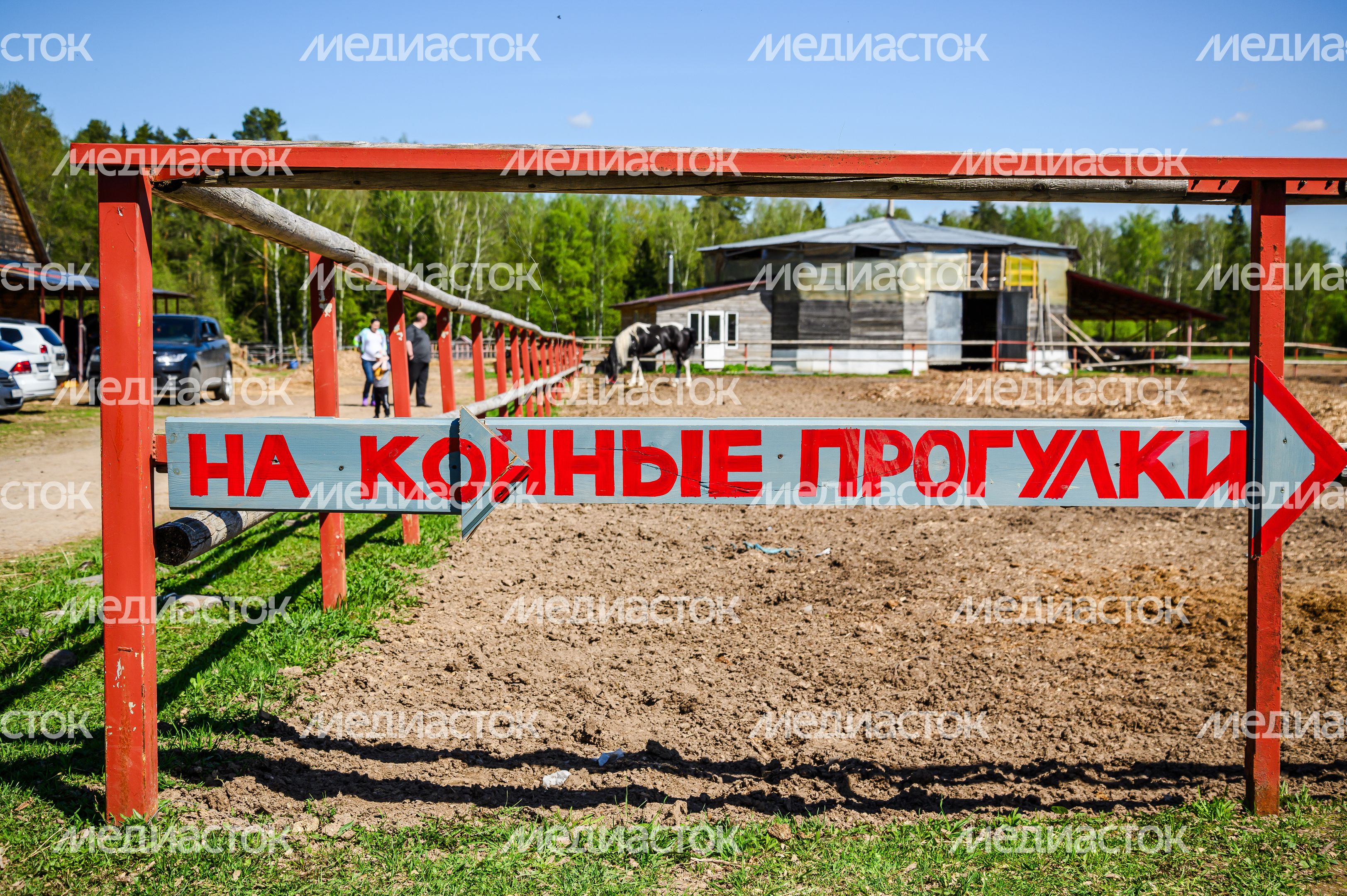 Конноспортивный клуб «Баллада» в округе Солнечногорск Конноспортивный клуб «Баллада» в округе Солнечногорск