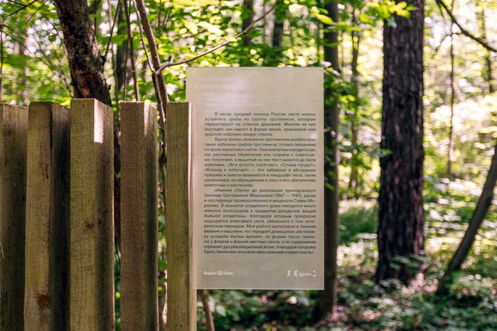 Прогулка по художественно-терапевтической тропе «Лес» в Горках Ленинских