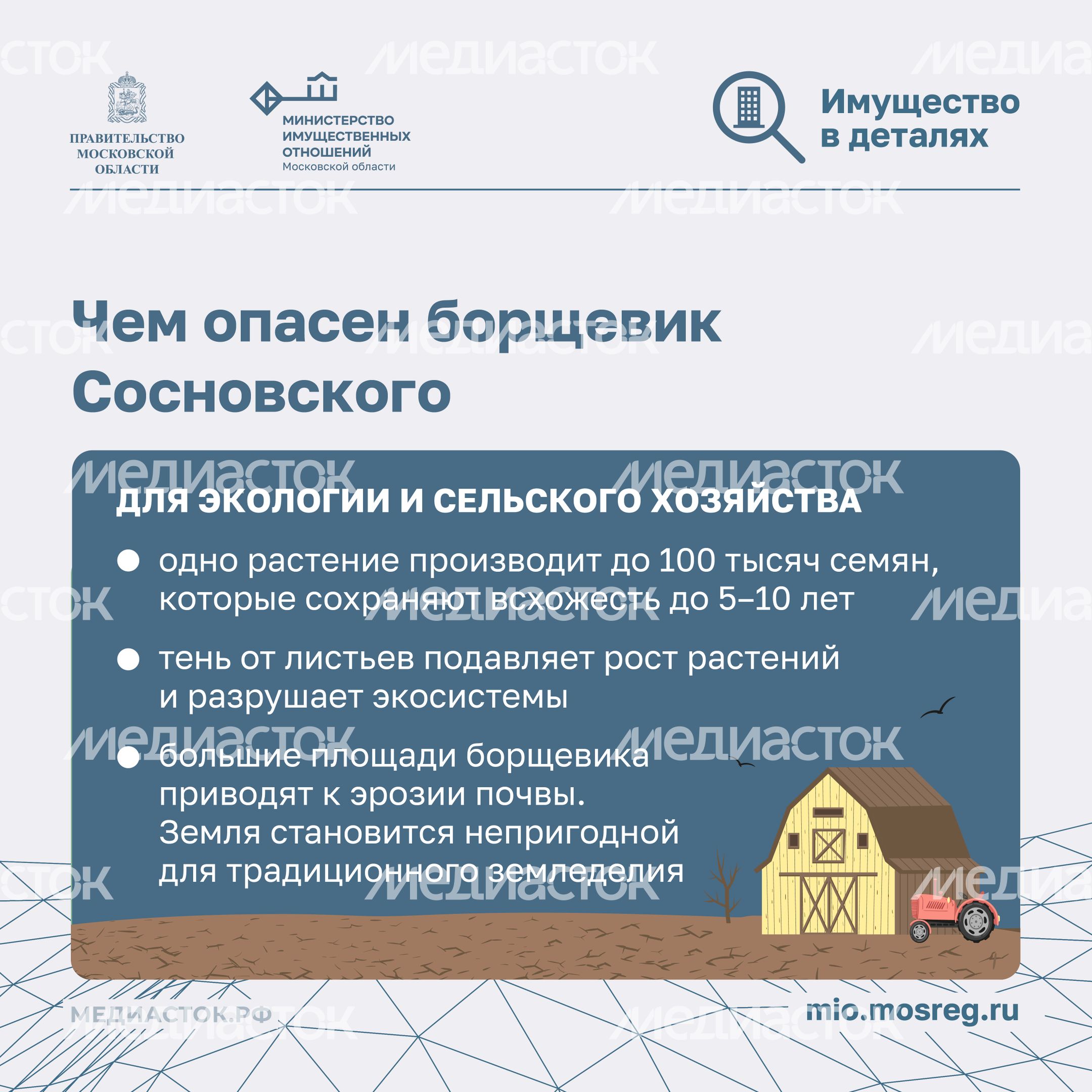 Борьба с борщевиком квадрат 05
