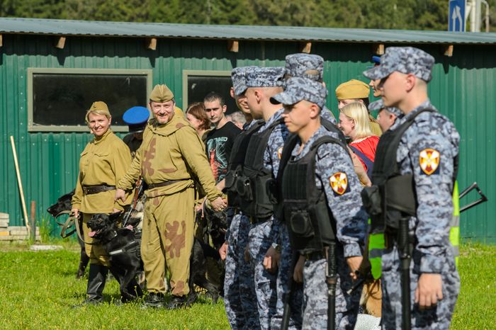Мытищи. Шолохово. Военно-патриотический фестиваль Фронтовая собака