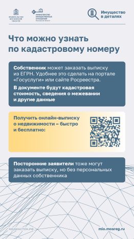 Что такое кадастровый номер участка вертикаль 05