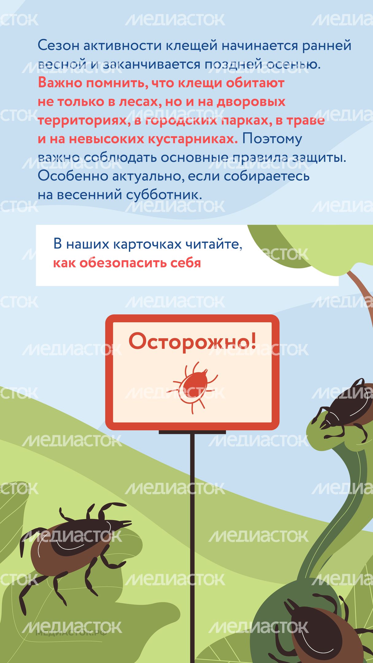 Как защититься от клещей вертикаль 02 Как защититься от клещей вертикаль 02