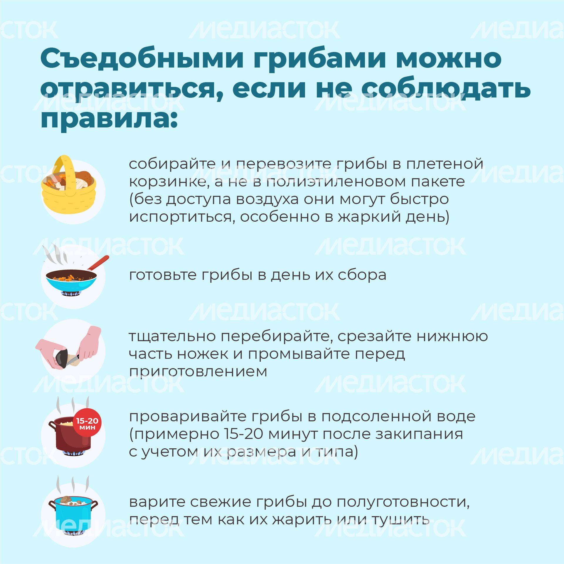 03 Квадрат_грибы_07-100