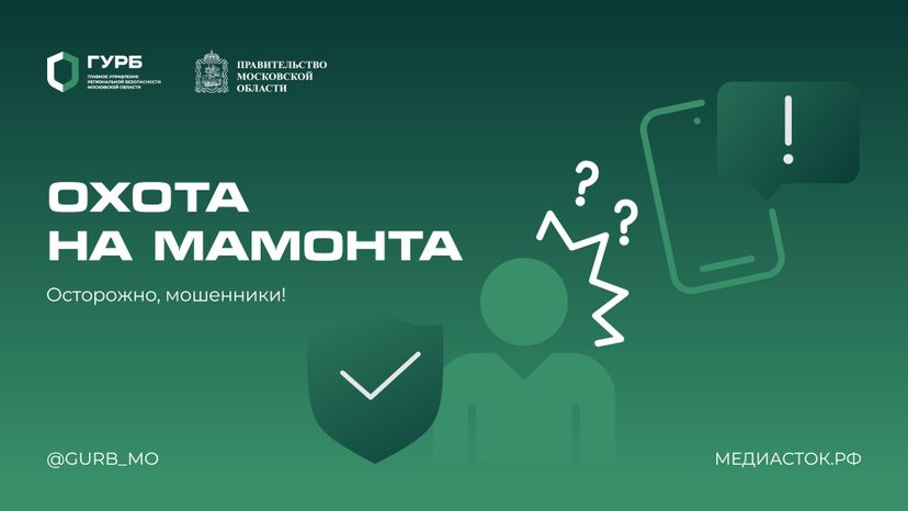 Мошенническая схема Мамонт горизонталь 01