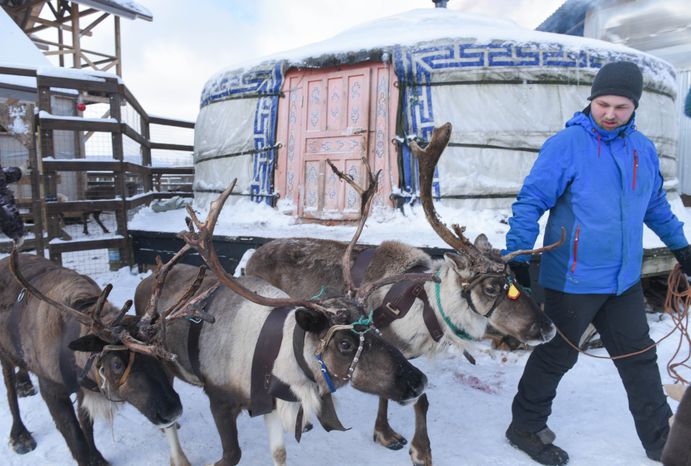 Оленья ферма в Дзержинском