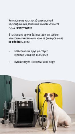 Чипирование-02.jpg