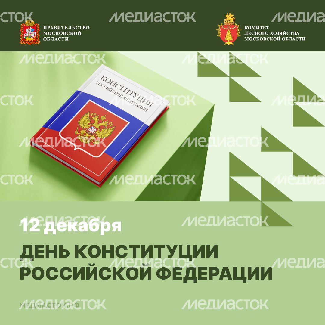 12 декабря квадрат 01 12 декабря квадрат 01