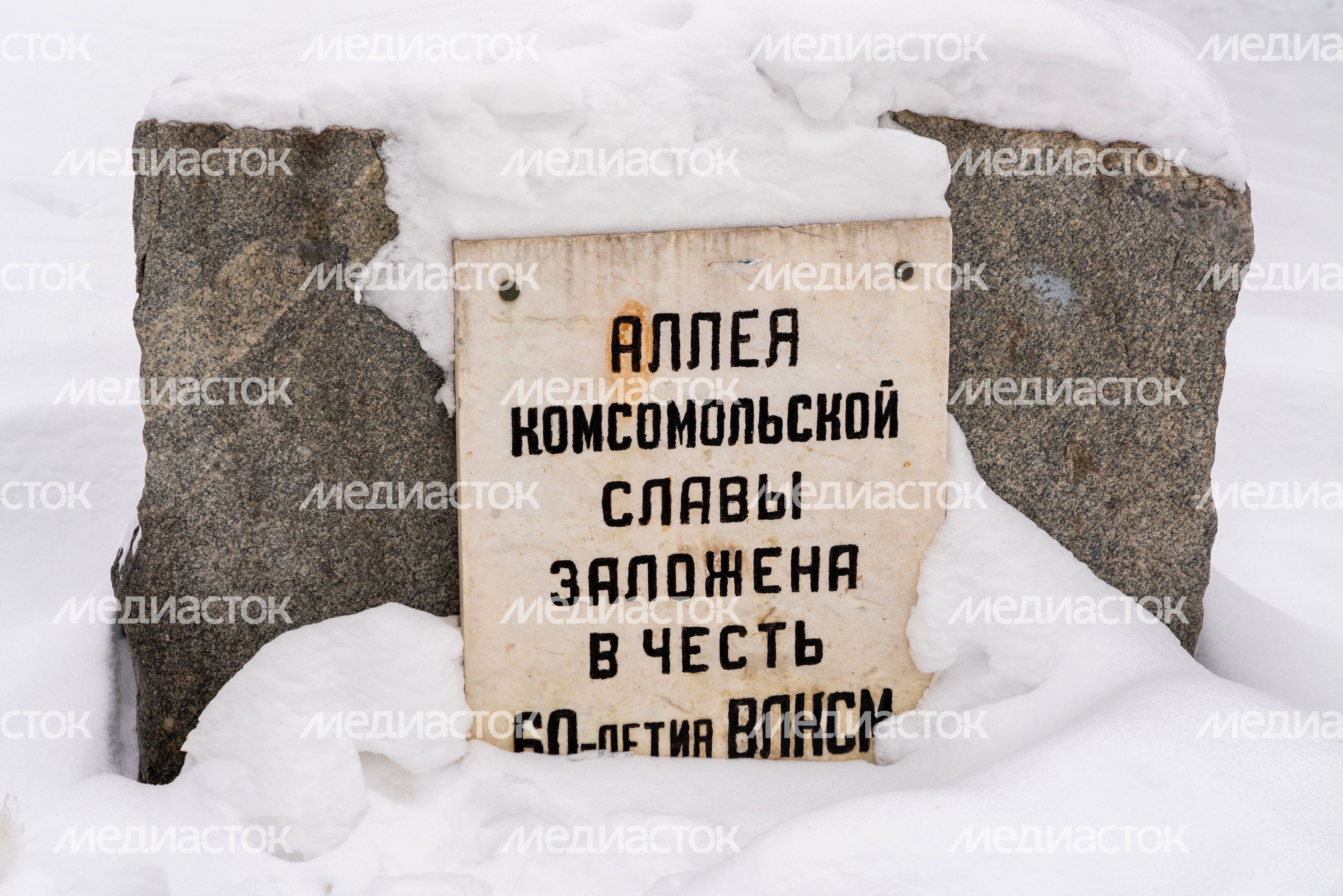 Аллея комсомольской славы в городском парке культуры и отдыха в Долгопрудном Аллея комсомольской славы в городском парке культуры и отдыха в Долгопрудном