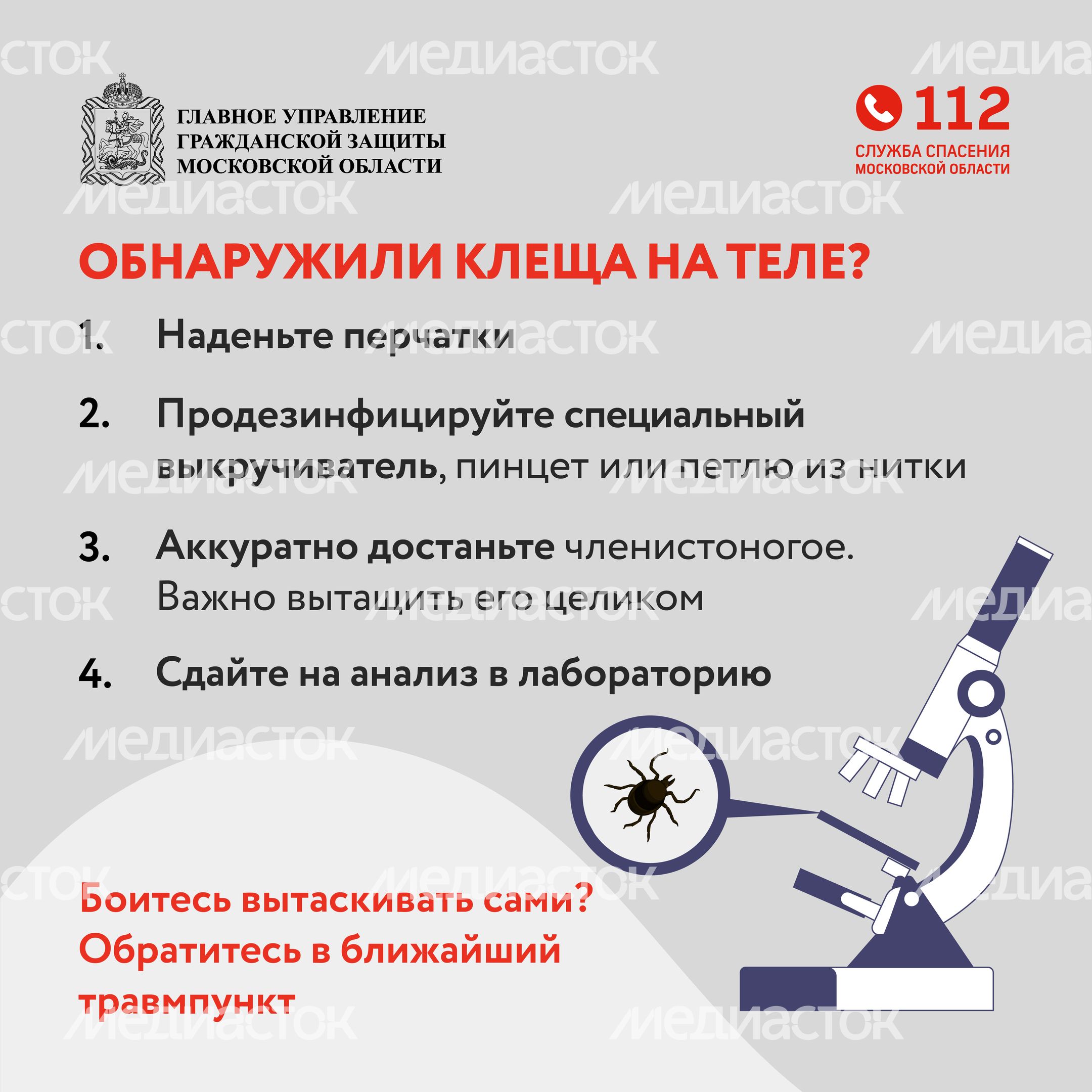 клещи_квадрат_08
