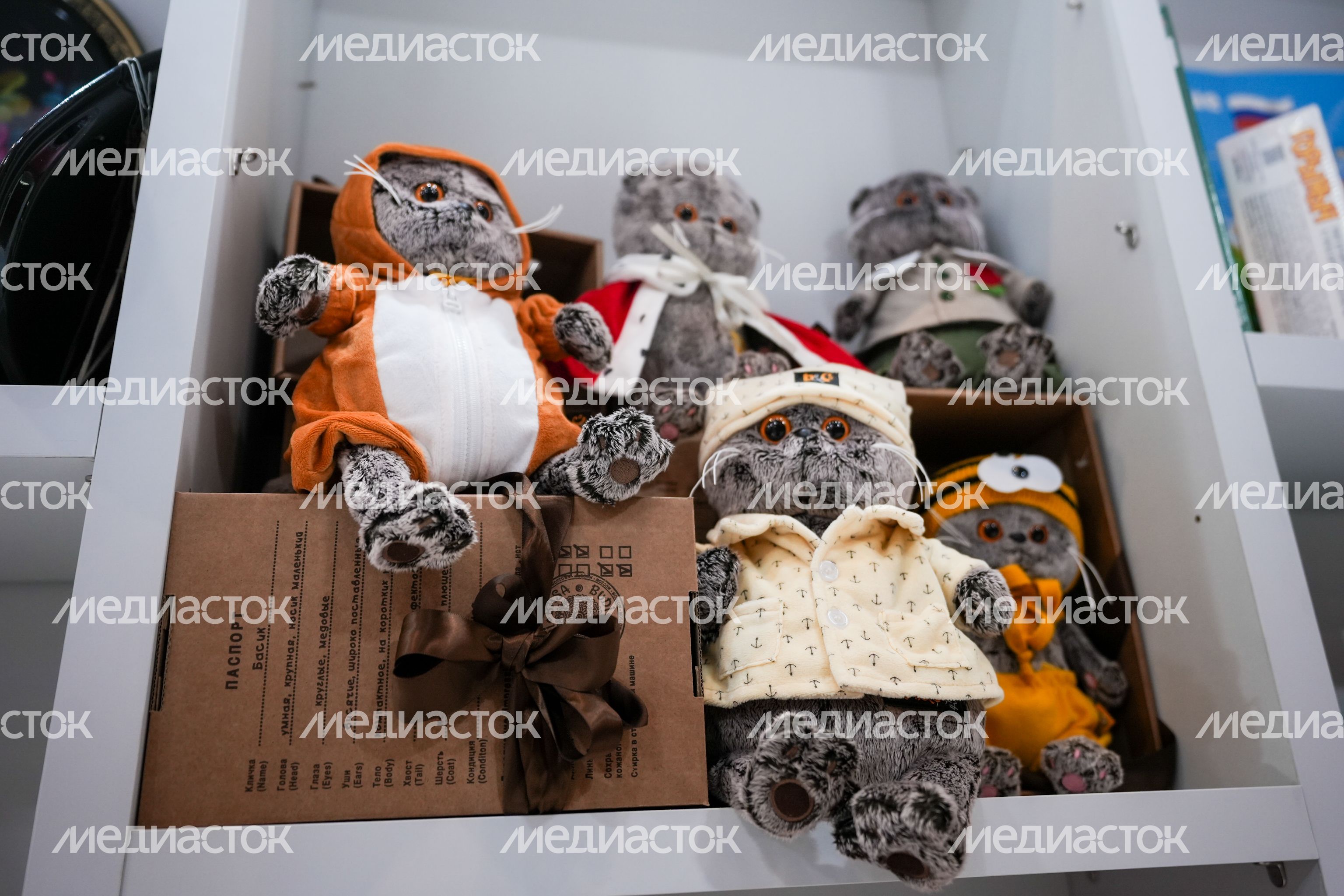 XIII Форум регионов Беларуси и России