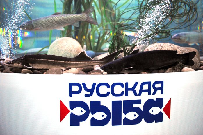 Всероссийский фестиваль «Рыбная неделя» в Москве