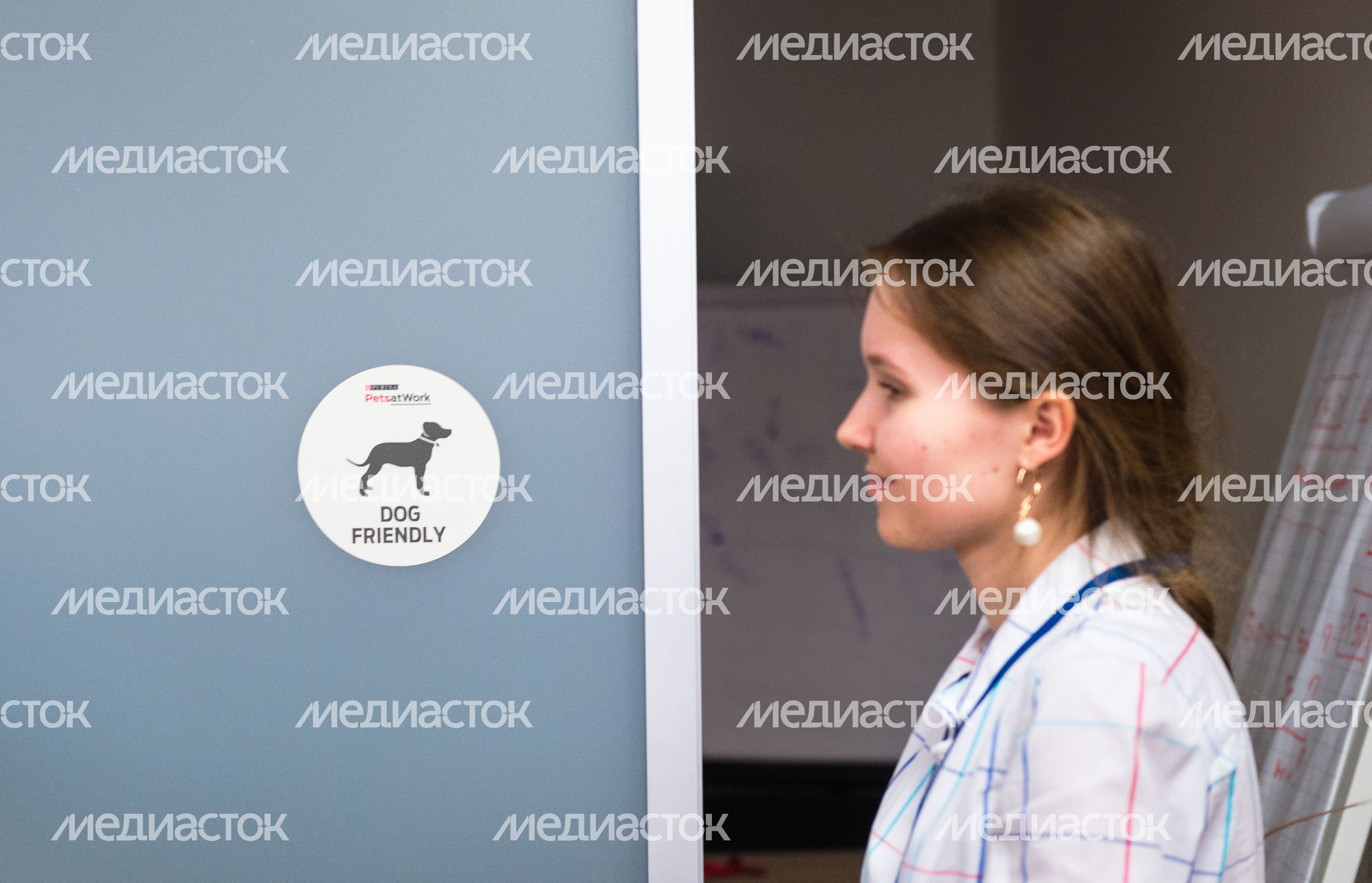 Pet‑friendly офис Purina