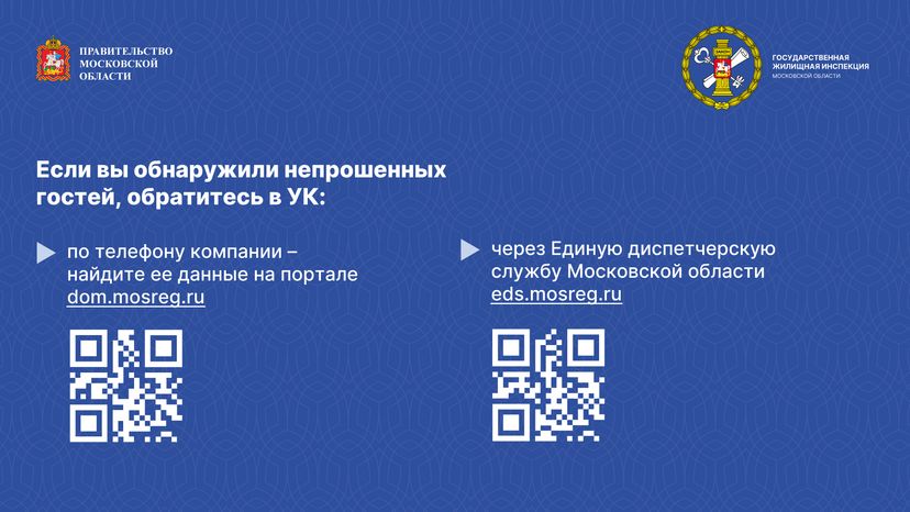 Ах ты паразит