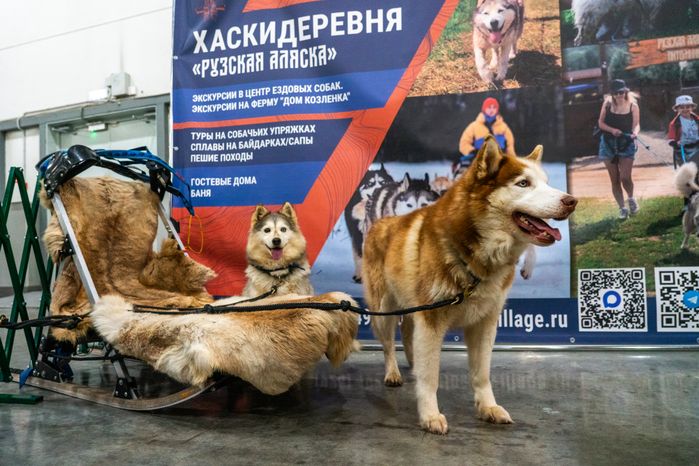 Фестиваль любви к домашним животным «Зоофест эко 2026» в «Крокус Экспо» в Красногорске