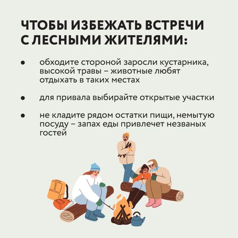 Квадрат Безопасность в лесу 07.jpg