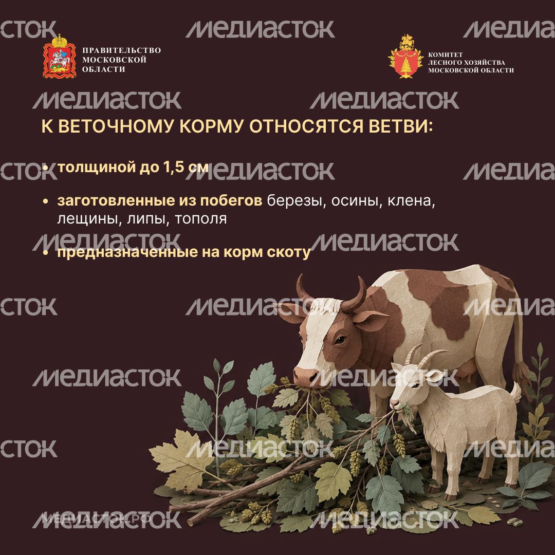 Недревесные ресурсы для собственных нужд Квадрат 08