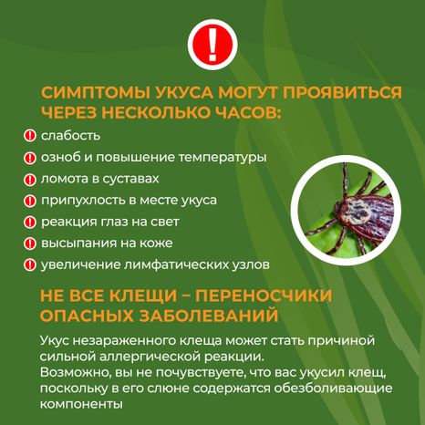 комлесхоз_клещи_кв_6